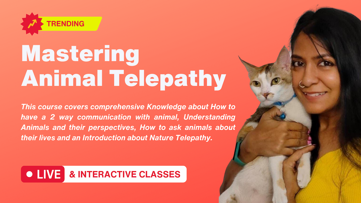 Learn Animal Telepathy with Soniya Shah 